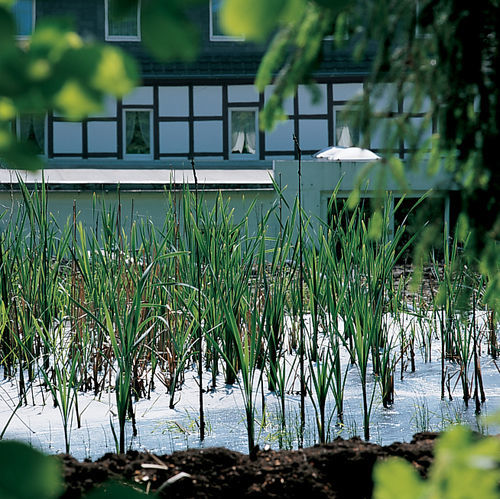 Moorland Hotel Am Senkelteich Vlotho Esterno foto